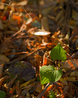 お問い合わせイメージ